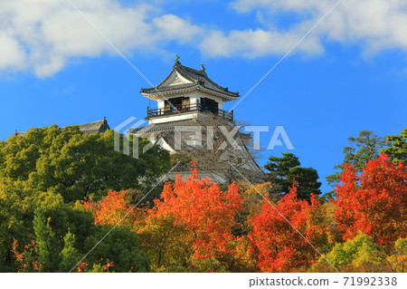 [Kochi Prefecture] Kochi Castle Tower of Autumn Leaves 71992338