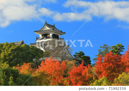 [Kochi Prefecture] Kochi Castle Tower of Autumn Leaves 71992339