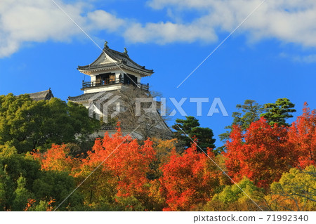 [Kochi Prefecture] Kochi Castle Tower of Autumn Leaves 71992340