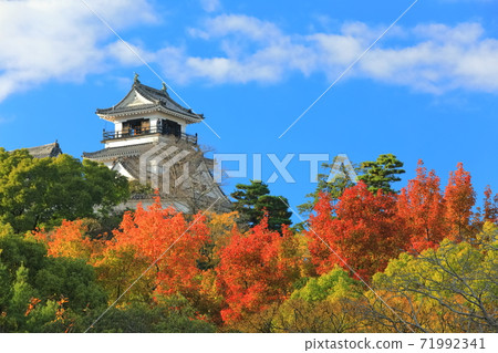 [Kochi Prefecture] Kochi Castle Tower of Autumn Leaves 71992341