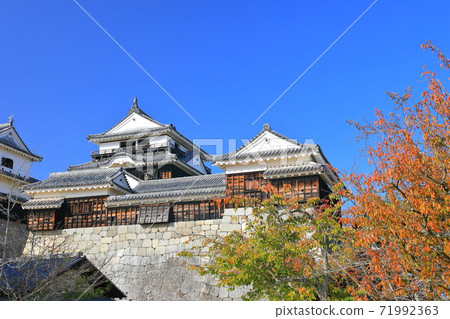 [愛媛縣]松山城秋葉城堡塔 71992363