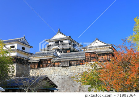 [愛媛縣]松山城秋葉城堡塔 71992364