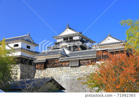 [愛媛縣]松山城秋葉城堡塔 71992365