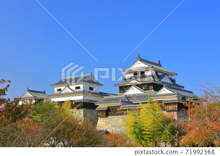 [愛媛縣]松山城秋葉城堡塔 71992368