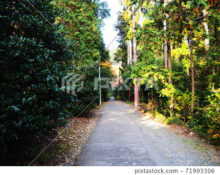 To木縣太平山的攀登歷程 To木縣太平山的攀登歷程 71993306