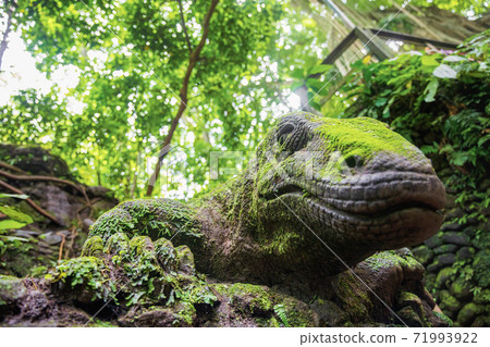 Balinese traditional lizard statue. Ubud, Balinese traditional lizard statue. Ubud, 71993922