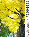 Autumn leaves and ginkgo in Yokohama 71994452
