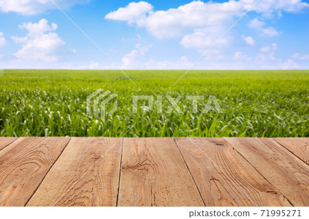 wooden table against green grass and blue sky 71995271