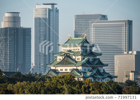 愛知縣名古屋城堡和摩天大樓在秋天的顏色 71997131
