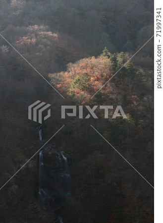 Snake's Falls 71997341