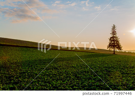 View of Biei View of Biei 71997446