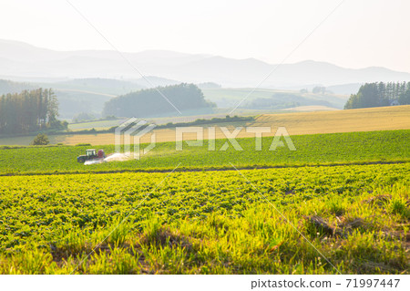 View of Biei View of Biei 71997447