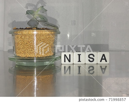 骰子字母和植物排列在明亮的燈光下NISA 4 71998857
