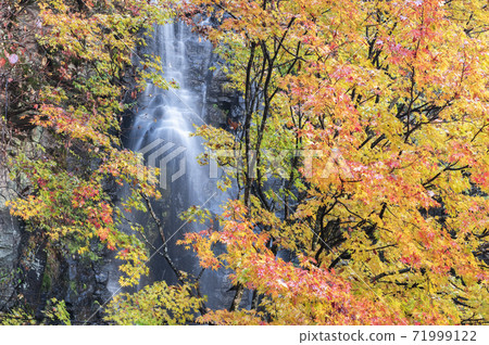 [Autumn image] Waterfall and autumn leaves - Stock Photo [71999122] - PIXTA