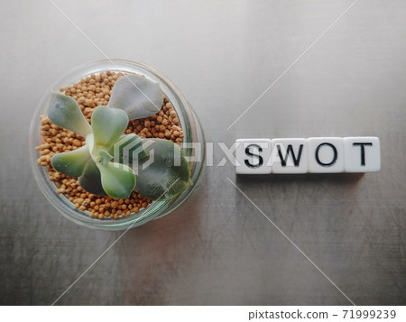 Dice letters and plants lined up with Swot in bright light 4 Dice letters and plants lined up with Swot in bright light 4 71999239