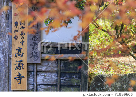 Kogenji autumn leaves 71999606