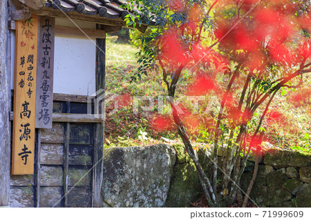 高原原秋葉 71999609