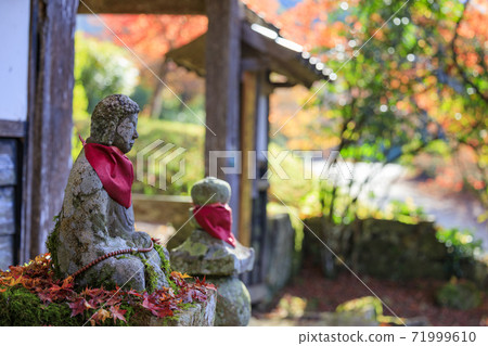 高原原秋葉 71999610