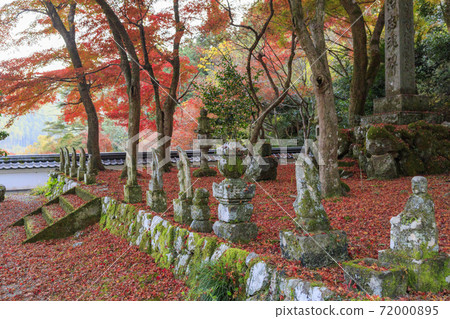 Entsu-ji Temple Autumn leaves Entsu-ji Temple Autumn leaves 72000895