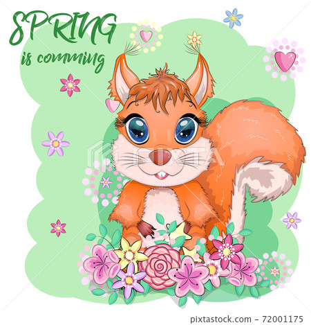 Couple of cute cartoon squirrel with beautiful eyes with flowers, wreath 72001175