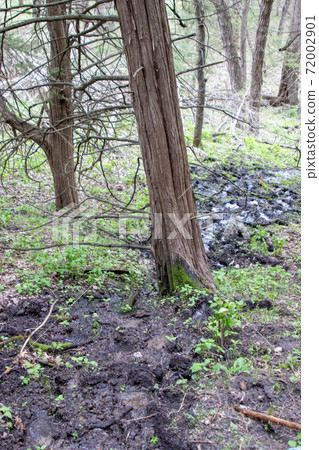 Natural Water spring coming out of a hill side in Nebraska lands Natural Water spring coming out of a hill side in Nebraska lands 72002901