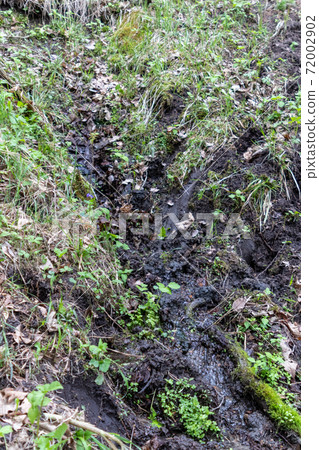 Natural Water spring coming out of a hill side in Nebraska  72002902