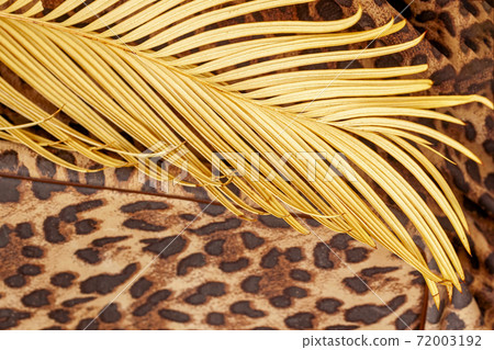 Branch of tropical palm tree and on background of exotic pattern of jaguar. Branch of tropical palm tree and on background of exotic pattern of jaguar. 72003192