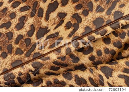 Genuine leather texture embossed under skin pattern of leopard, exotic fashion trend, jungle background Genuine leather texture embossed under skin pattern of leopard, exotic fashion trend, jungle background 72003194