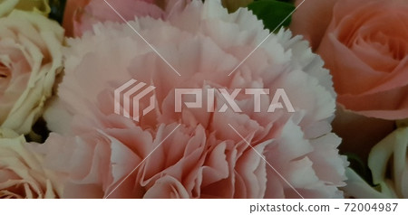 Flower arrangement of carnations and roses Flower arrangement of carnations and roses 72004987