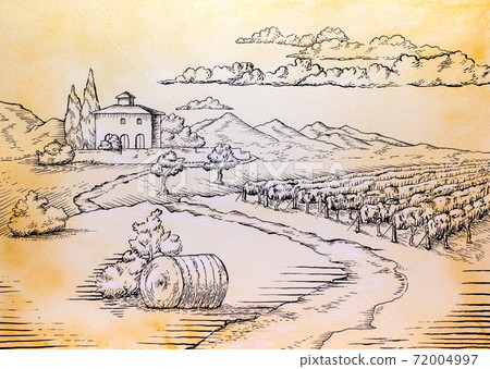 Rural landscape ink drawing Rural landscape ink drawing 72004997