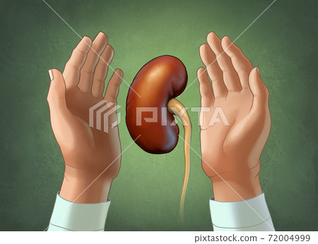 Kidney care 72004999