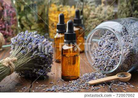 Dropper bottle of lavender essential oil, glass jar of dry lavender flowers, bunches of dry lavender. Jars of different dry medicinal herbs on background. Alternative medicine. Dropper bottle of lavender essential oil, glass jar of dry lavender flowers, bunches of dry lavender. Jars of different dry medicinal herbs on background. Alternative medicine. 72007002