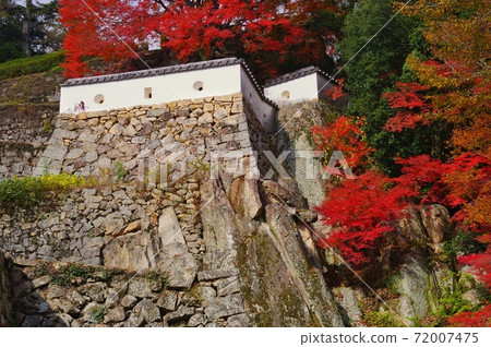 Bitchu Matsuyama Castle 72007475