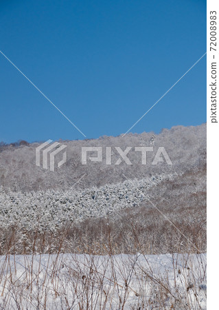 冰雪覆蓋的冬季森林和藍天 72008983
