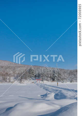 冬季灌木叢和紅色鳥居 72008985