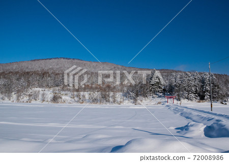 冬季灌木叢和紅色鳥居 72008986