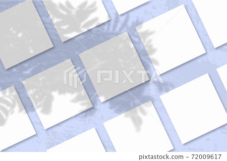 Natural light casts shadows from a Rowan branch on several square sheets of white textured paper Natural light casts shadows from a Rowan branch on several square sheets of white textured paper 72009617