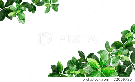 綠葉背景框架 綠葉背景框架 72009759