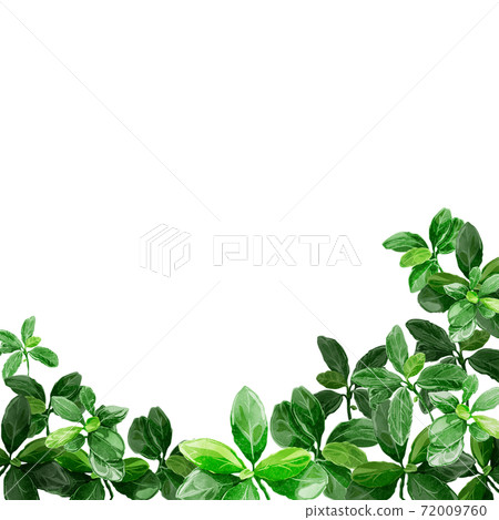 綠葉背景框架 72009760