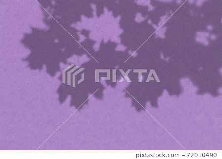 Summer background of plant shadows. Shadow of tree leaves on a lilac wall. White and black to overlay a photo or mockup 72010490