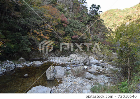 Autumn Gorge Autumn Gorge 72010540