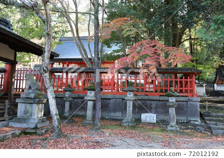 Autumn leaves of Nara Park Autumn leaves of Nara Park 72012192