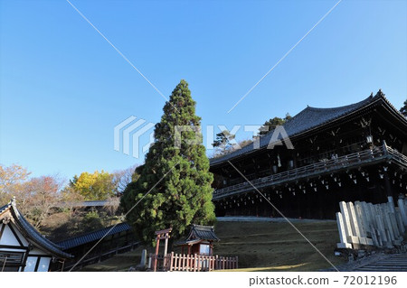 奈良公園秋葉 奈良公園秋葉 72012196