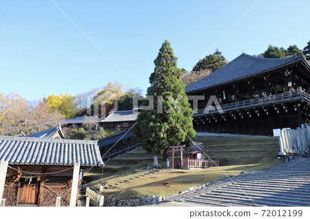 Autumn leaves of Nara Park Autumn leaves of Nara Park 72012199