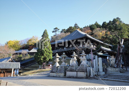 Autumn leaves of Nara Park Autumn leaves of Nara Park 72012200