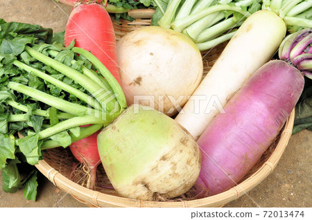 4種蘿蔔 4種蘿蔔 72013474