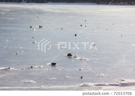 Akagiyama in winter Frozen lake surface pattern of Onuma 72013708
