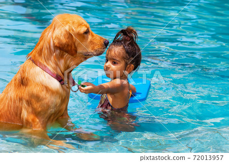 Little child swim with dog in blue swimming pool. Little child swim with dog in blue swimming pool. 72013957