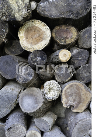 Overlapping logs 72014492