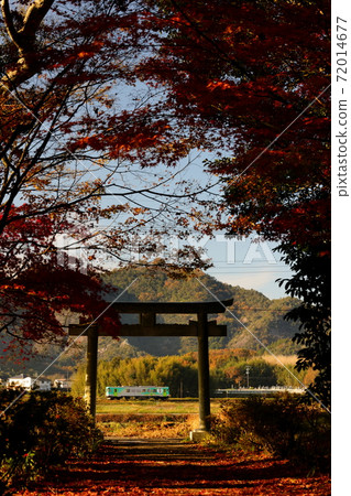 Autumn leaves and Hojo Railway 72014677